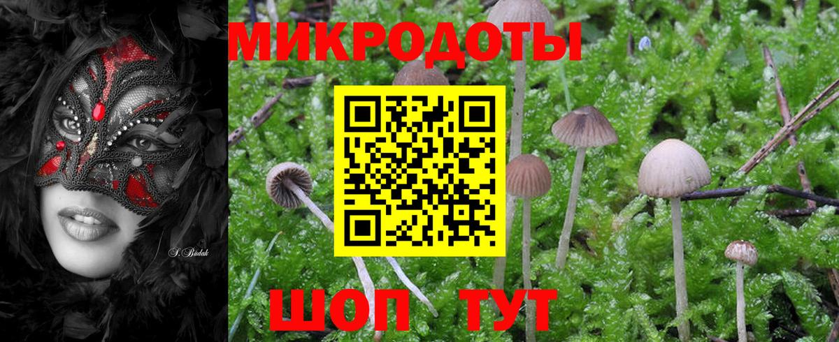Псилоцибиновые грибы мицелий  Вход с VPN  купить   Казань 