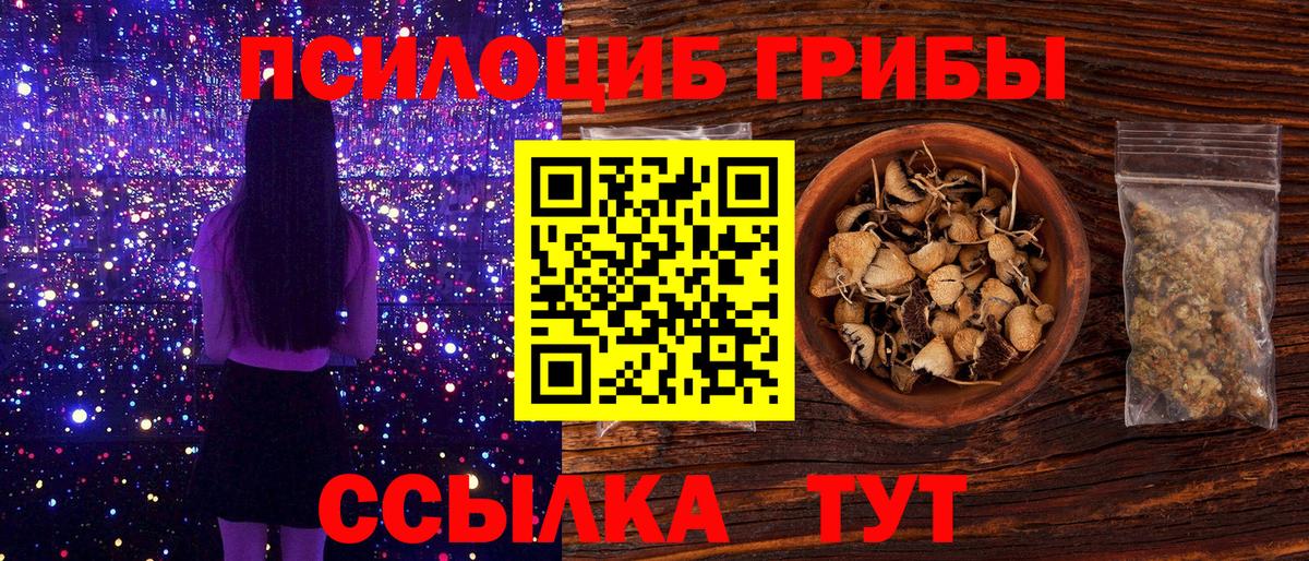 Галлюциногенные грибы Psilocybe Казань